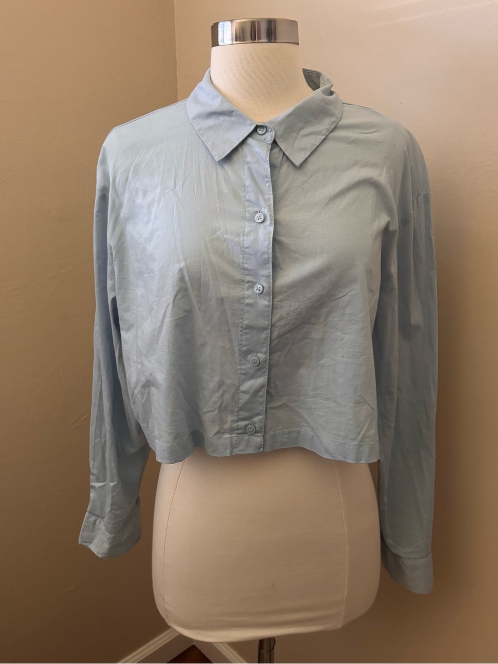 H&M Pale Blue Cropped Button-Down Shirt